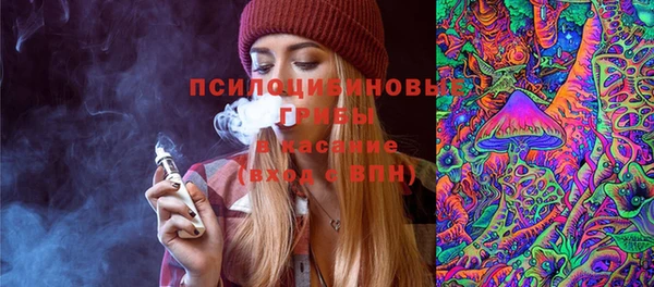 мет Ельня