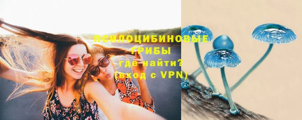 гидра Заволжье