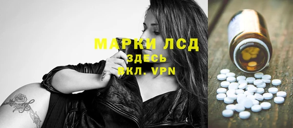 мет Ельня