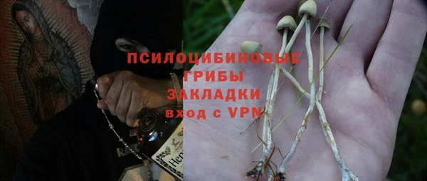 шишки Заводоуковск