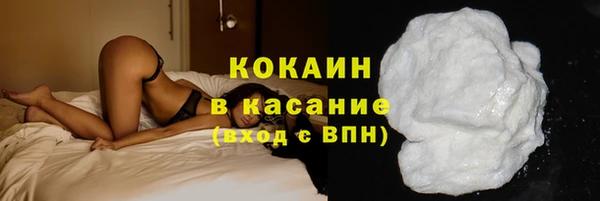 мет Ельня