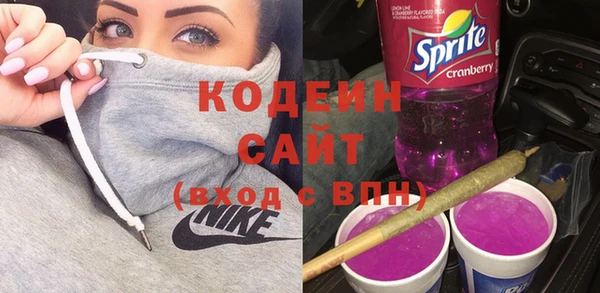 мет Ельня