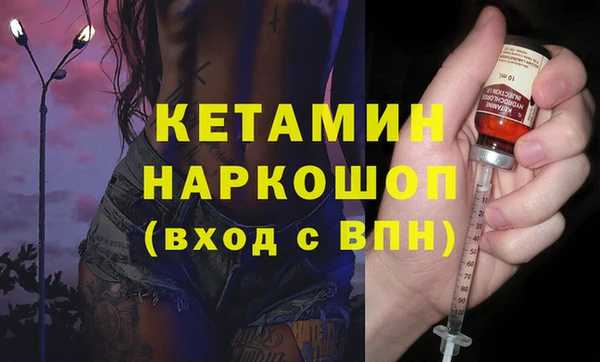 шишки Заводоуковск