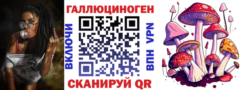 Купить закладки  Удачный  Псилоцибиновые грибы Cubensis 