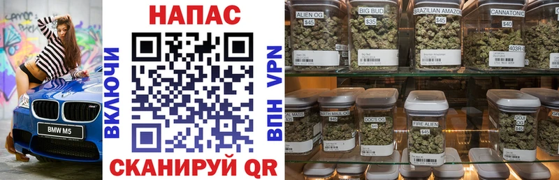 Купить  Удачный  Бошки марихуана THC 21% 